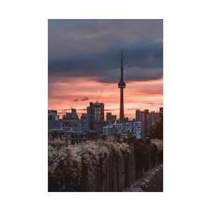 Liberty Village Wake Up (Rolled Print)
